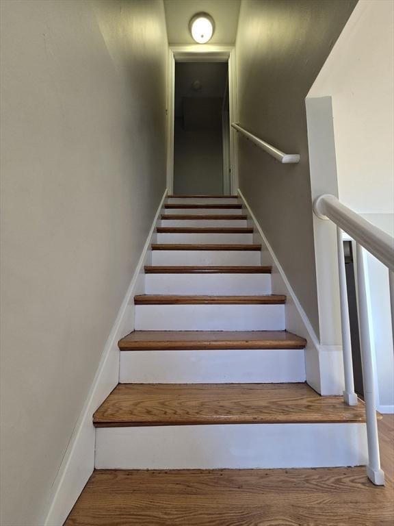 staircase with hardwood / wood-style flooring