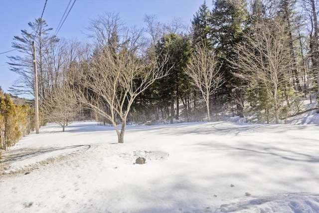 view of yard covered in snow