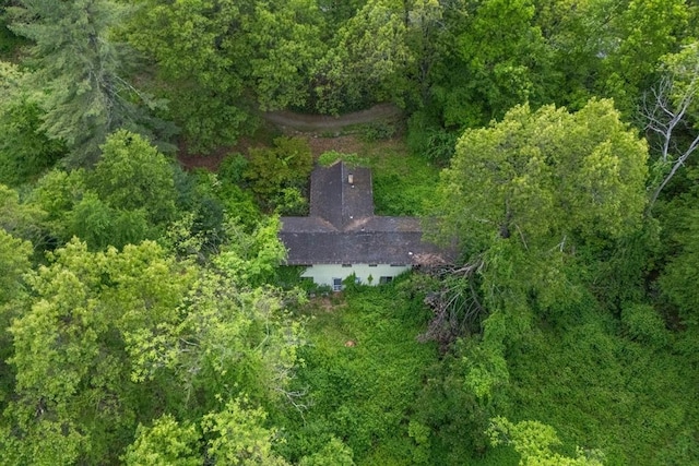 228 Old Littleton Rd, Harvard, MA 01451 - view of subject property featuring a heavily wooded area
