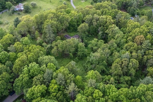 228 Old Littleton Rd, Harvard, MA 01451 - view of property location with a heavily wooded area