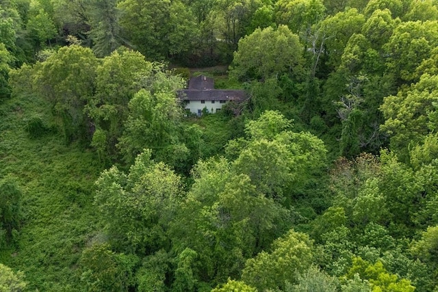 228 Old Littleton Rd, Harvard, MA 01451 - view of property location with a forest