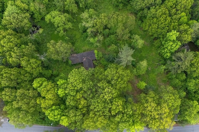 228 Old Littleton Rd, Harvard, MA 01451 - view of property location featuring a forest