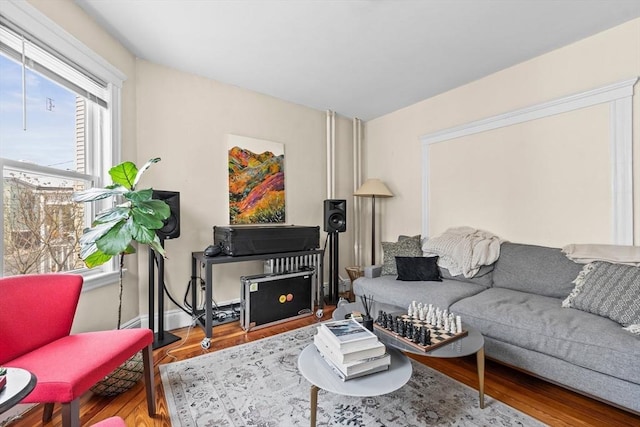 living room featuring wood finished floors