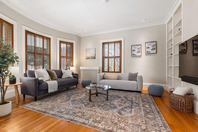 living room with crown molding and wood-type flooring