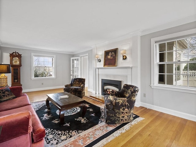 living area featuring baseboards, a fireplace with flush hearth, wood finished floors, and ornamental molding