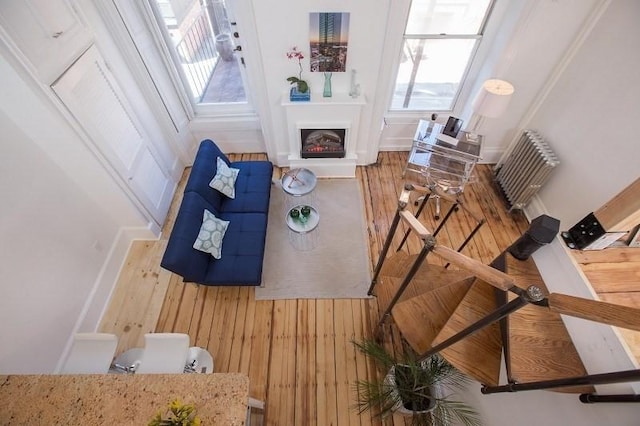 living room with hardwood / wood-style flooring and a wealth of natural light