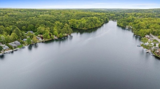 166 Klondike Rd, Dudley, MA 01571 - drone / aerial view of a forest and a nearby body of water