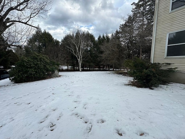 view of yard layered in snow