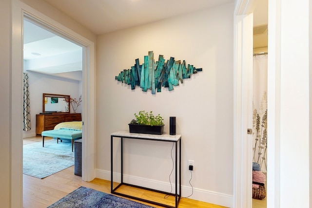 488 Dorchester Ave Unit 4H, Boston, MA 02127 - hall with light wood-type flooring and baseboards