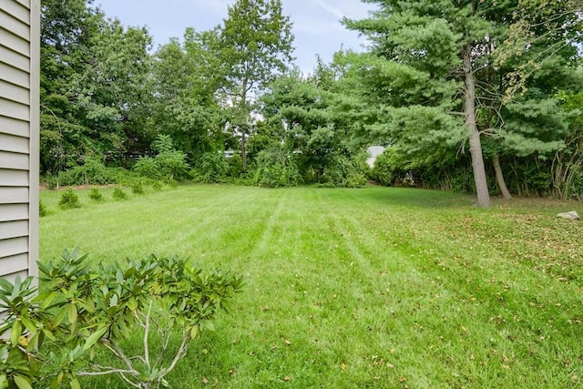 15 Reed St Unit 2, West Boylston, MA 01583 - view of green lawn