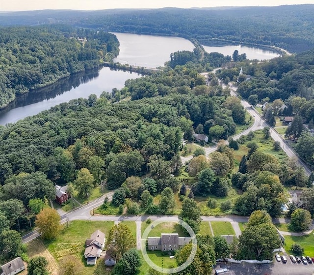 15 Reed St Unit 2, West Boylston, MA 01583 - bird's eye view of a nearby body of water and a heavily wooded area