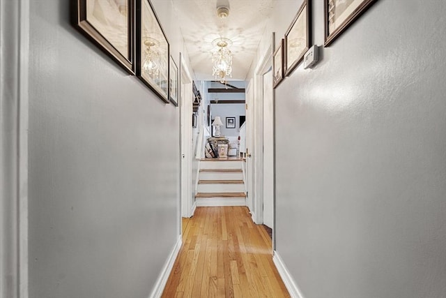 35 Pilgrim Dr, Norwood, MA 02062 - hall with light wood-style floors and stairs