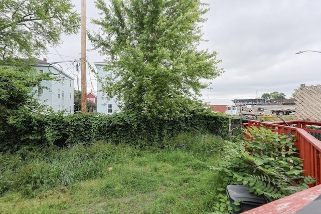 37 Colton St, Worcester, MA 01610 - view of yard