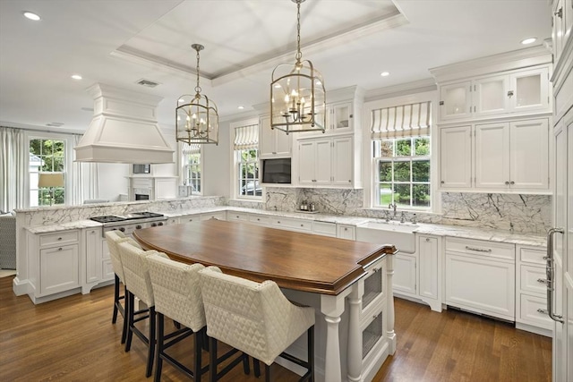 kitchen featuring a peninsula, a tray ceiling, a wealth of natural light, and custom range hood