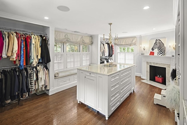 walk in closet with dark wood-style floors and a premium fireplace