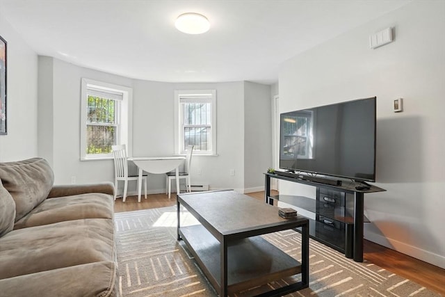 80 E Brookline St Unit 1, Boston, MA 02118 - living room featuring wood finished floors and baseboards