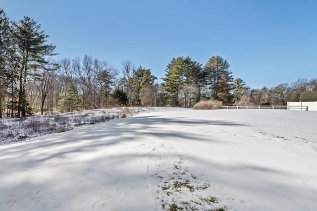 view of yard layered in snow