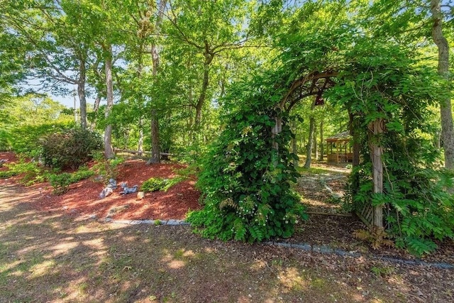 344 Mayfair Rd, Dennis, MA 02660 - view of yard