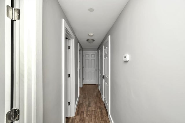 hallway with dark wood-type flooring