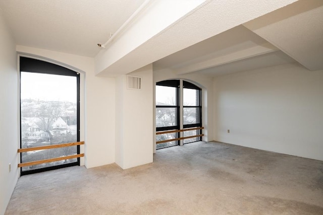 carpeted spare room featuring a healthy amount of sunlight