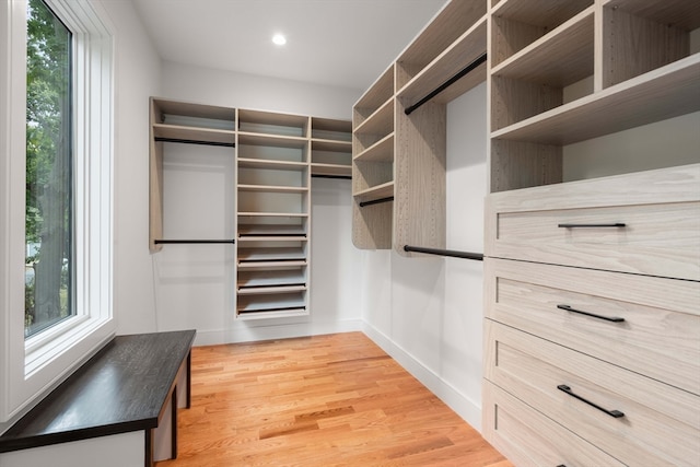 spacious closet with light hardwood / wood-style flooring