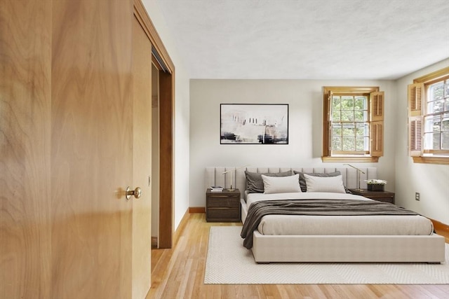 9 Divittorio Dr, Milford, MA 01757 - bedroom with light wood-style flooring and baseboards