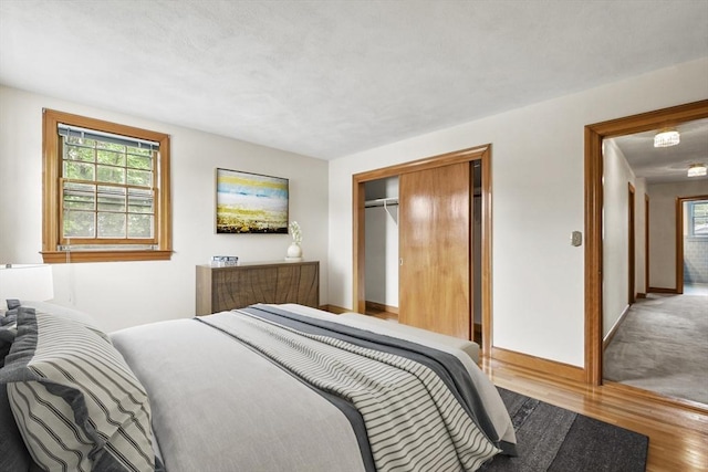 9 Divittorio Dr, Milford, MA 01757 - bedroom featuring wood finished floors, a closet, and baseboards