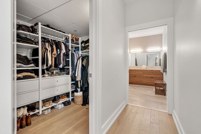 spacious closet featuring a drop ceiling and hardwood / wood-style floors