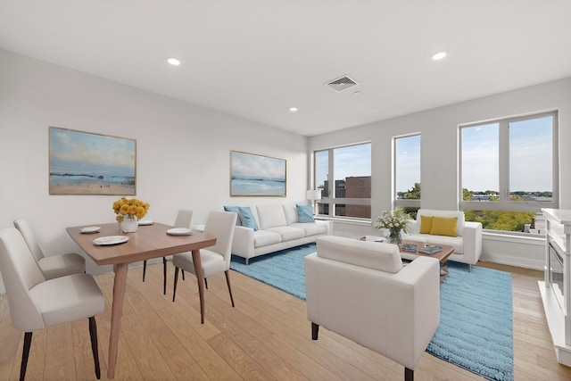 living room featuring light hardwood / wood-style flooring and plenty of natural light