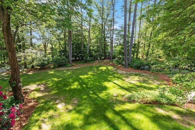 2 Pomfret Rd, Chelmsford, MA 01824 - view of green lawn