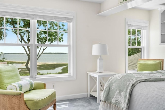 21 Glenwood St, Yarmouth, MA 02673 - bedroom featuring carpet floors, multiple windows, and a water view