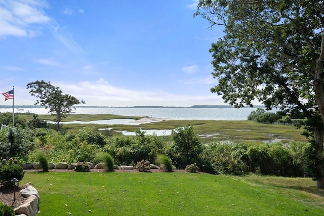 21 Glenwood St, Yarmouth, MA 02673 - view of green lawn with a water view