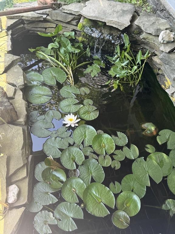 1820 Bay St, Taunton, MA 02780 - exterior view of a garden pond