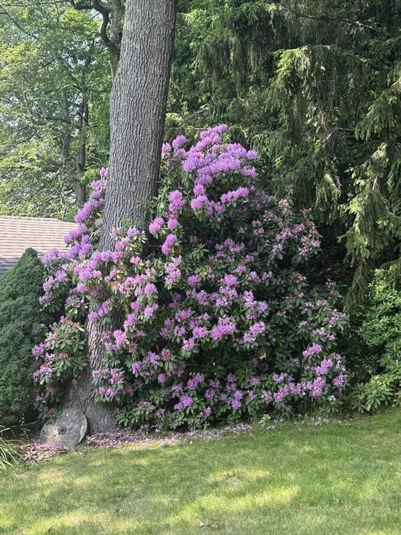 1820 Bay St, Taunton, MA 02780 - view of green lawn