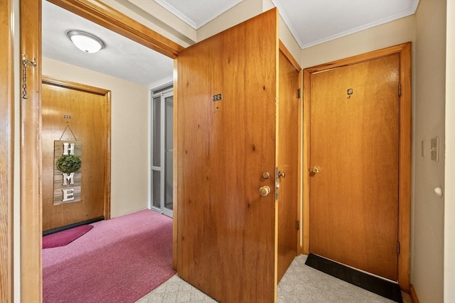 hall featuring carpet flooring and crown molding