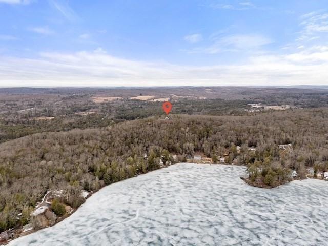 bird's eye view with a forest view