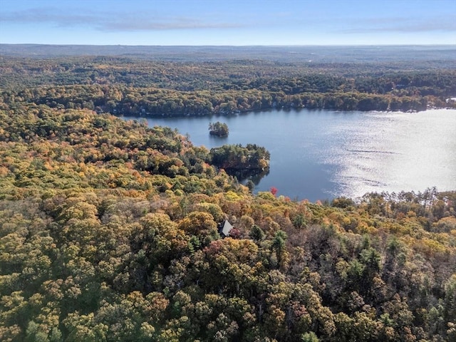 bird's eye view featuring a forest view and a water view