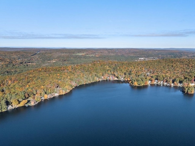 birds eye view of property with a water view and a wooded view