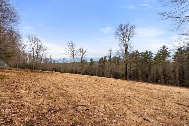 view of nature featuring a forest view