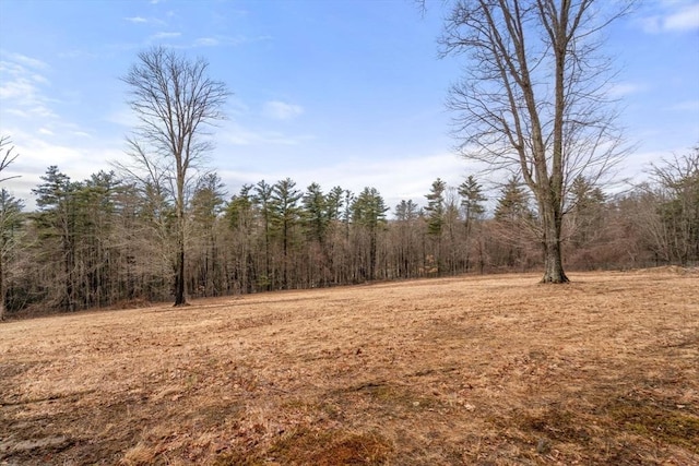 view of local wilderness featuring a view of trees