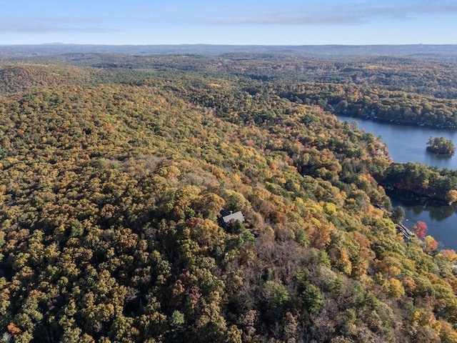 bird's eye view featuring a forest view and a water view