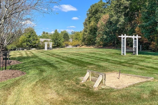 view of yard