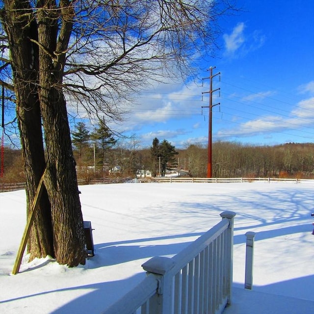 view of yard covered in snow