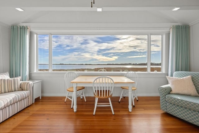 interior space featuring plenty of natural light and lofted ceiling