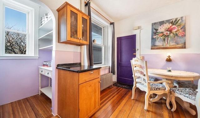 kitchen with a wealth of natural light, dark hardwood / wood-style floors, and radiator