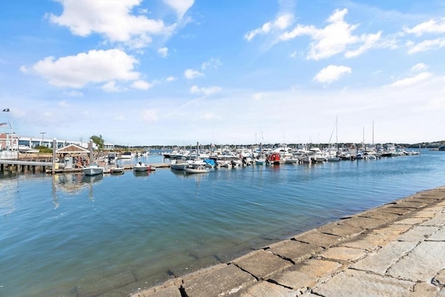 property view of water featuring a boat dock