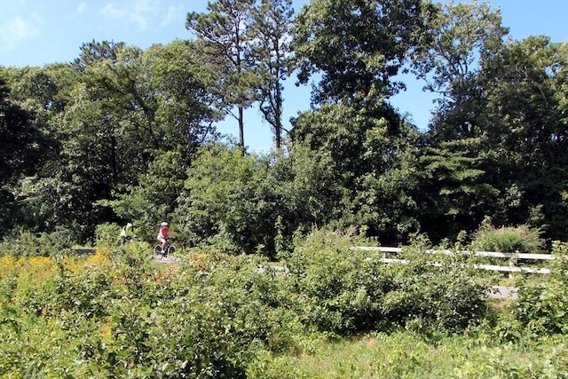 view of local wilderness