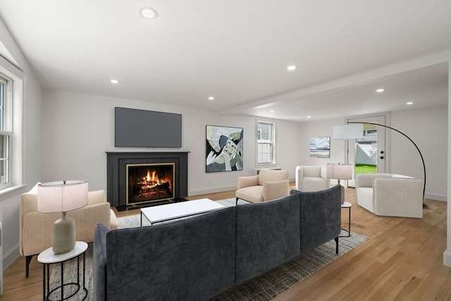 443 Great Plain Ave, Needham, MA 02492 - living area featuring light wood-style floors, a fireplace with flush hearth, recessed lighting, and baseboards