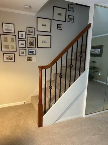 56 Granby Hts Unit 56, Granby, MA 01033 - staircase with crown molding, baseboards, and carpet