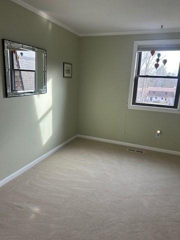 56 Granby Hts Unit 56, Granby, MA 01033 - spare room featuring crown molding, baseboards, and carpet